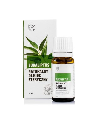 eukaliptus.jpg