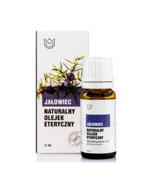 jalowiec.jpg