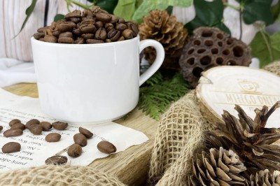 Kawa speciality Etiopia Djimmah z regionu Kaffa