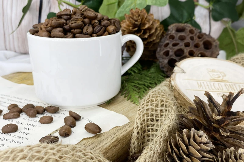 Kawa speciality Etiopia Djimmah z regionu Kaffa