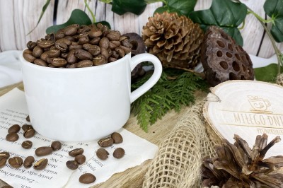 Świeżo palona kawa Etiopia Sidamo w ziarnach