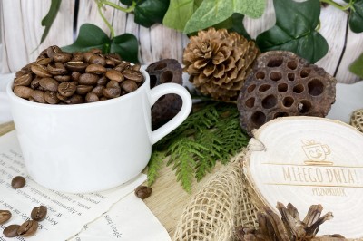 Kawa speciality Indie Plantation AA profil smakowy