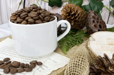 Świeżo palona kawa Papua Nowa Gwinea w ziarnach