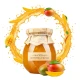 Konfitura z Mango 300g