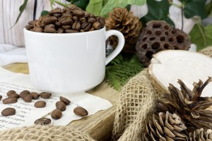 Kawa speciality Etiopia Djimmah z regionu Kaffa