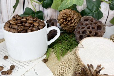 Kawa speciality Indie Plantation AA profil smakowy