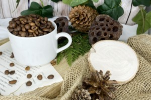 Świeżo palona kawa Robusta Indie Cherry AA w ziarnach